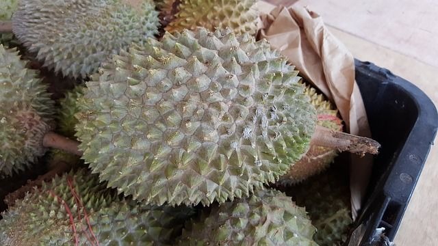 Thailand’s Fresh Fruit Exports to China Up 70% in H1 2021