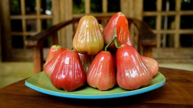 China’s Customs Authority Suspends Imports of Taiwan Sugar Apple & Wax Apple to Mainland