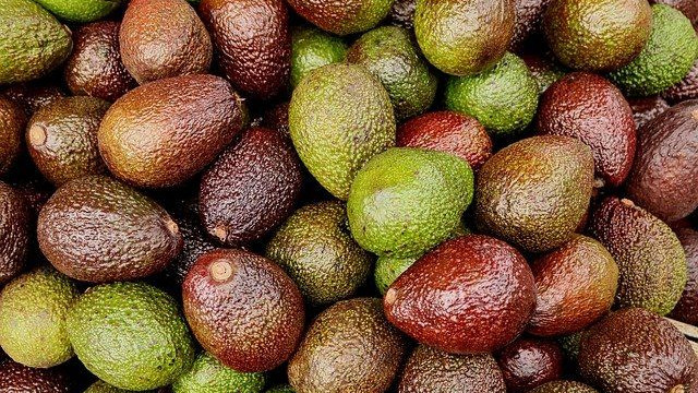 China's avocado imports rebounded significantly from January to August