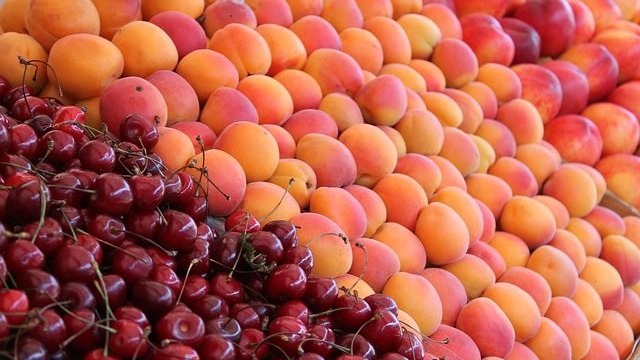 Chile's fruit exports to Asia increased by 16.6% to an all-time high
