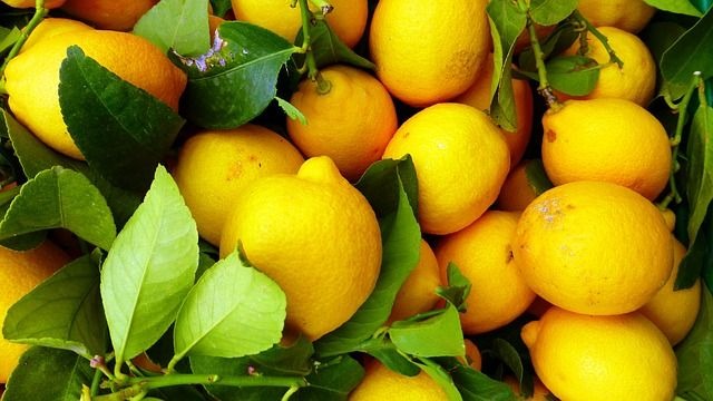 Uzbekistan Lemons Officially Approved by China’s Customs Authority