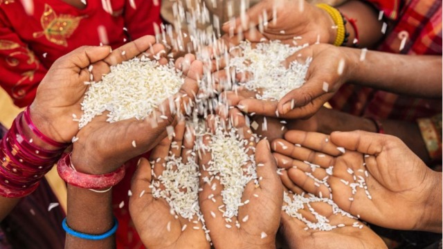 Demand for Indian rice continues to grow