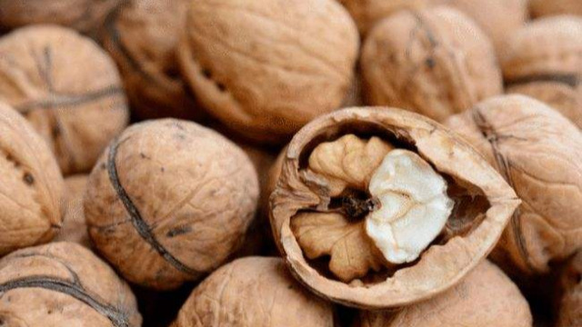 China&apos;s Walnut Exports Hit Record High