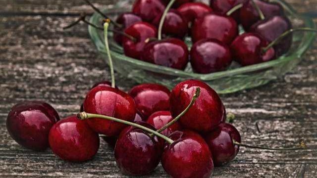Chilean Frozen Fruit Officially Heading to China