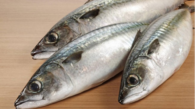 Peruvian fishmeal imports may decline in 2022