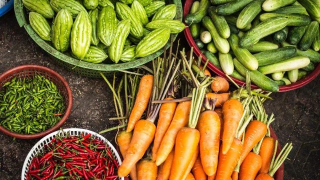 Russian experts: sanctions against Russia will lead to a sharp rise in the price of agricultural products in Europe