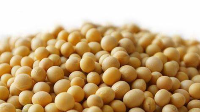 Paraguay's 2021/22 soybean crop is the worst in history