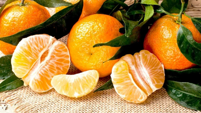 Chilean citrus production forecast out, exports to decline
