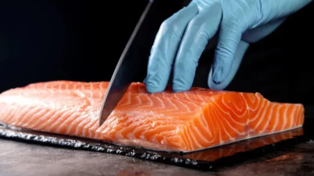 New Chilean president announces new bill to limit salmon industry expansion!