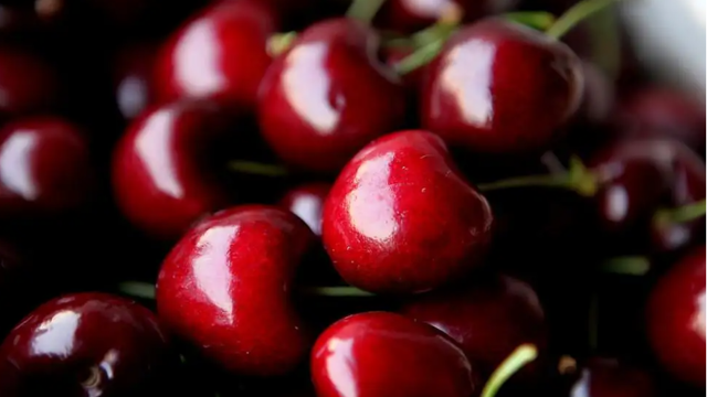 Chile's fresh fruit exports in the first four months of the champion carrion 90% sold to China