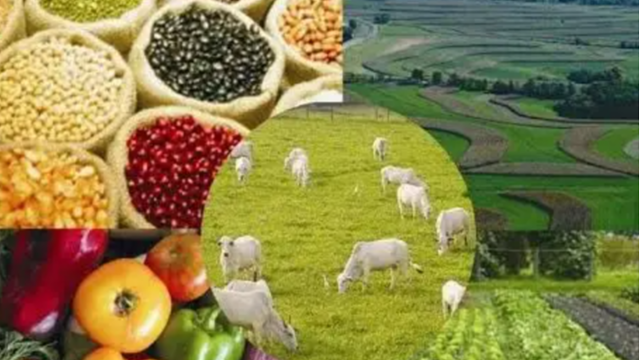 Russian experts: Russian agricultural exports to China to grow