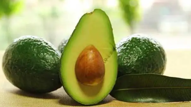 Peruvian avocado exports to reach 515,000 tons this year
