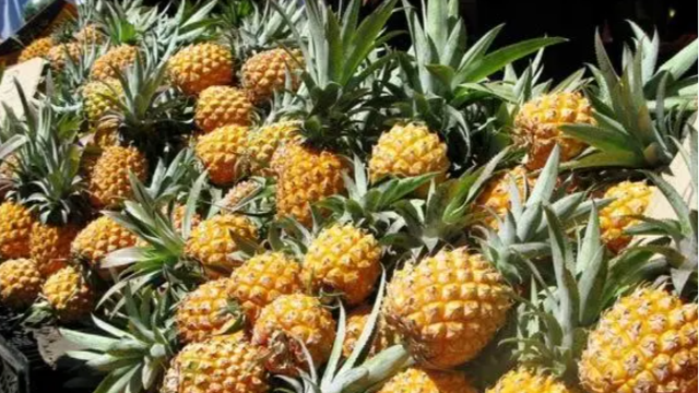 Malaysia's pineapple exports exceed $1.6 billion, ready to launch China market