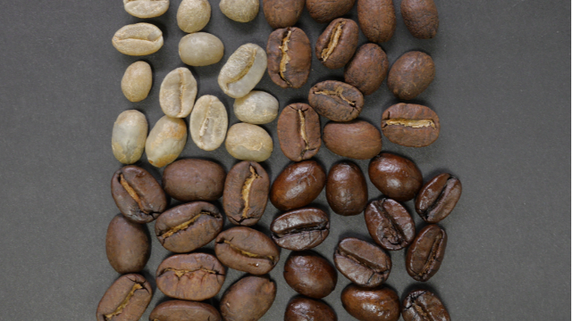 Vietnam's coffee export opportunities to the U.S. continue to expand