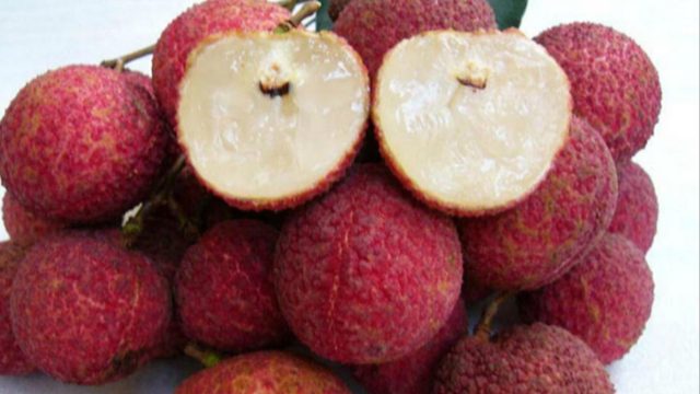 Vietnam's seedless lychee will be available from next year