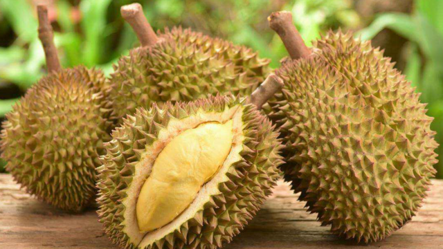 Cambodia sends 120 tons of frozen durian to China for the first time