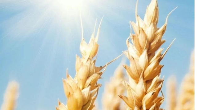 6 Countries' Products Approved for Import to China