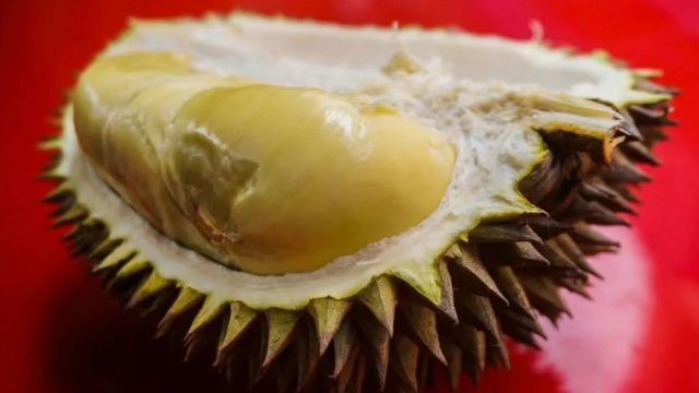 Vietnam Fruit Exports Rebound on Durian Surge​​