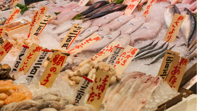 After Two-Year Ban, Japan Scallop Exports to China Resume