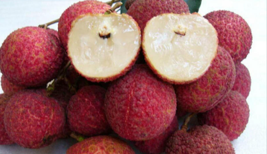Vietnam's seedless lychee will be available from next year