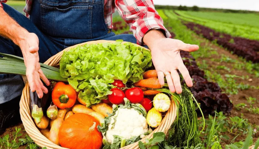 Vietnam exports fruits, vegetables and spices to EU: promising prospects