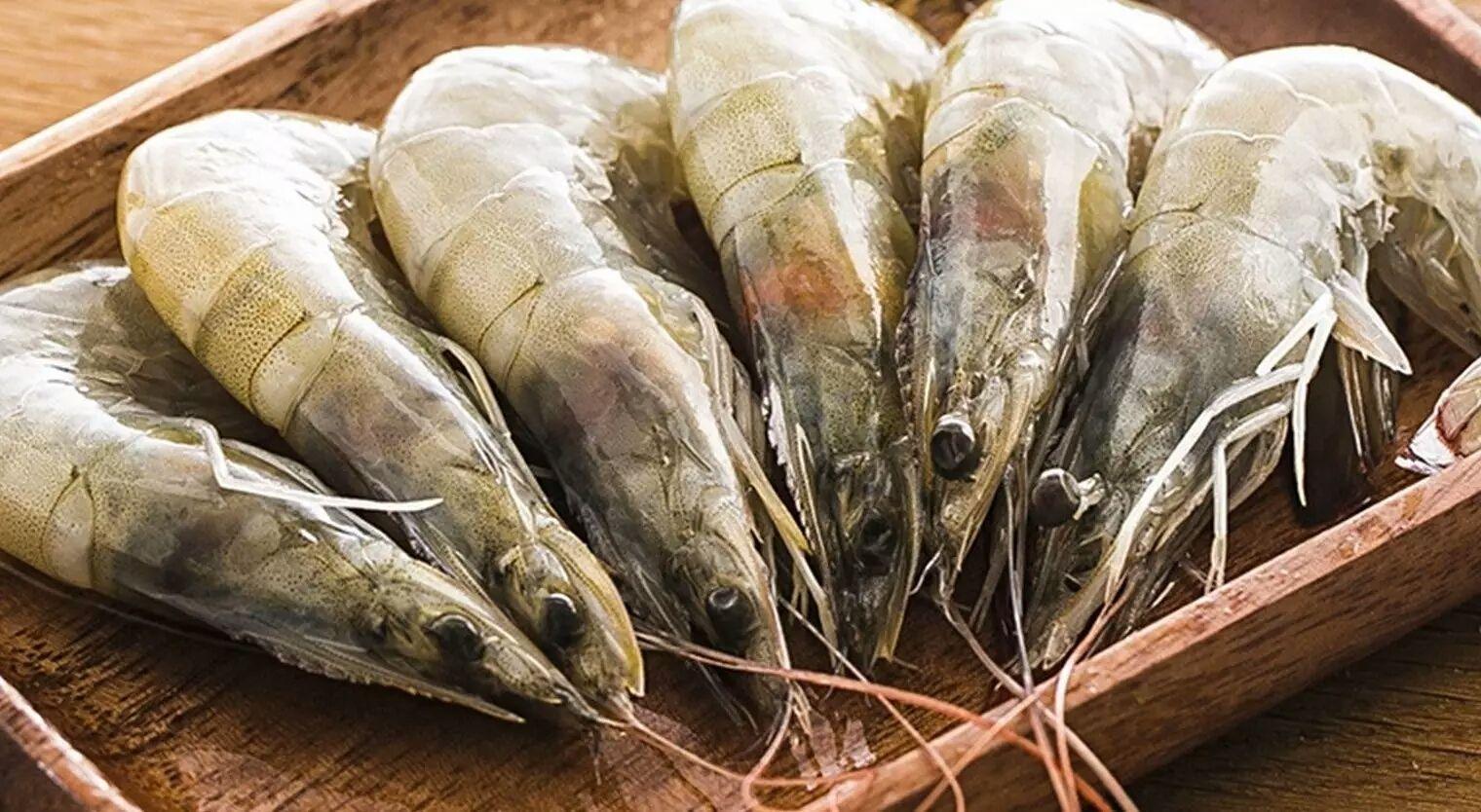 Ecuadorian shrimp exports to China rose 133% in the first quarter of this year