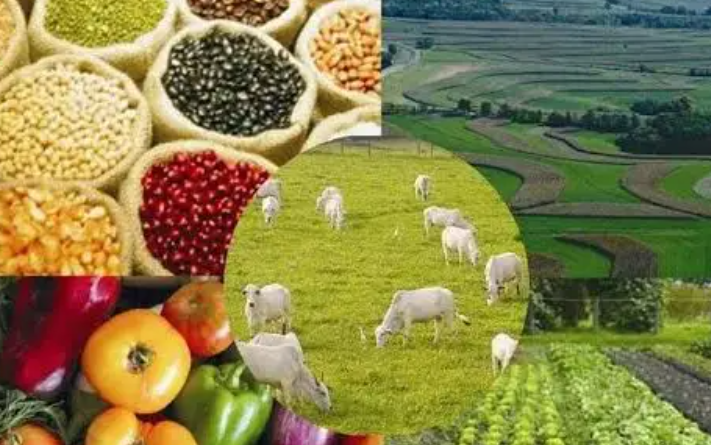Russian experts: Russian agricultural exports to China to grow