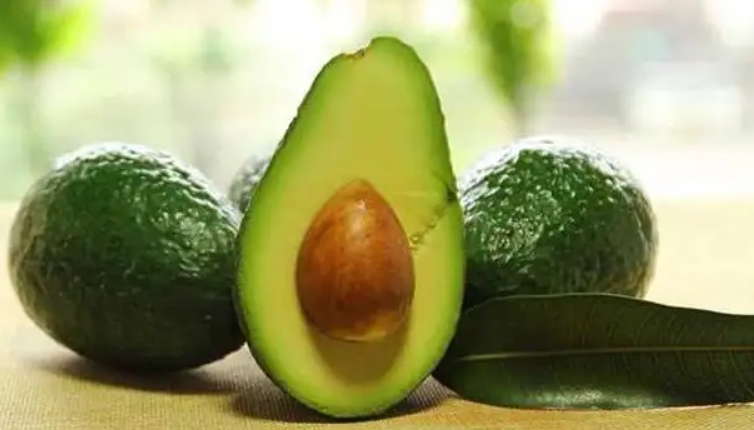 Peruvian avocado exports to reach 515,000 tons this year