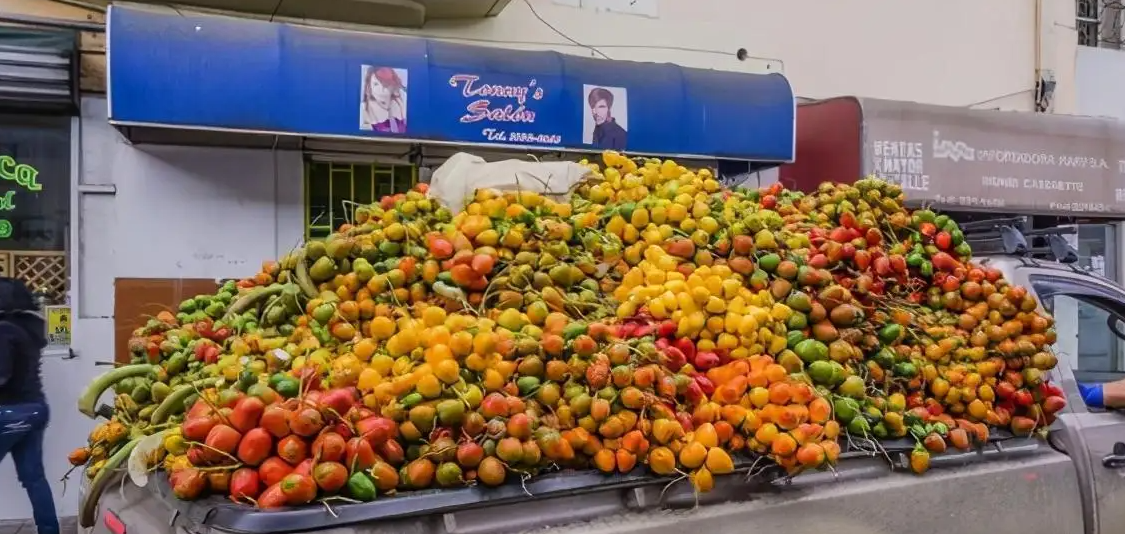 Vietnam fruit exports release positive signals