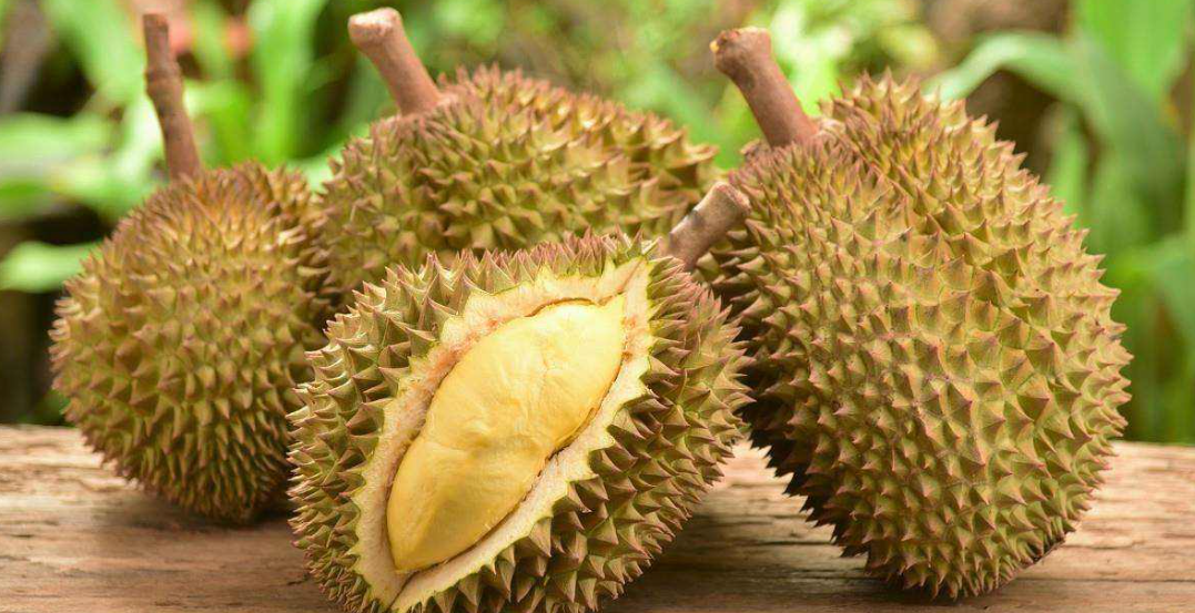 Cambodia sends 120 tons of frozen durian to China for the first time